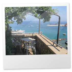 Foto Palma 1
